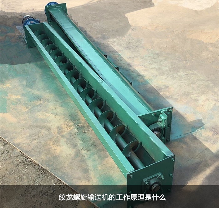 蛟龍蘑菇视频网址官网圖片