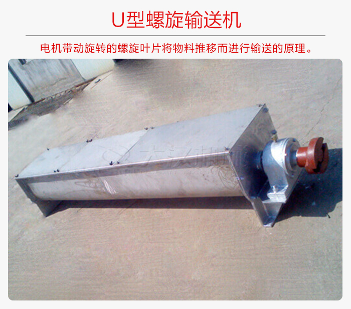 U型蘑菇视频网址官网