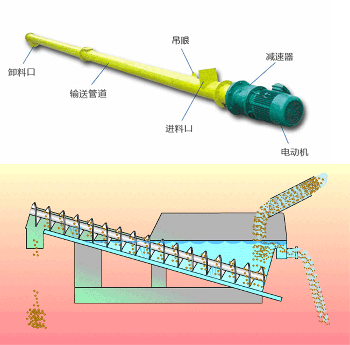 絞龍蘑菇视频网址官网