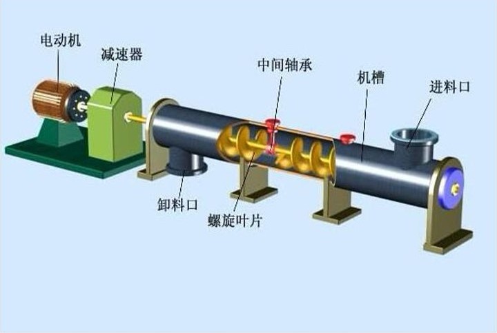 絞龍蘑菇视频网址官网結構圖